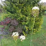 20171113_131611.jpg