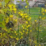 20171113_131707.jpg