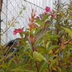 20171113_131819.jpg