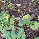 20171113_131903.jpg
