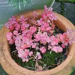 20171113_132116.jpg