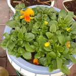 20171113_132234.jpg
