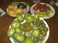 BILD8504.webp