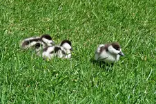 IMG_1767 - Copy.webp