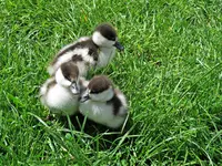 IMG_1743 - Copy.webp