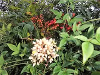 DSCI2788.webp