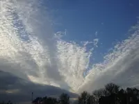 DSC09234.jpg