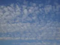 DSC09235.webp