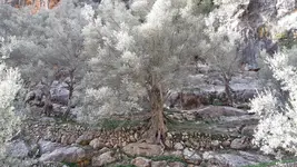 20171114_152607.webp