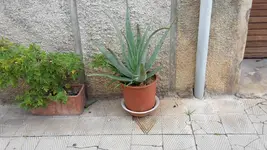 20171114_101834.webp