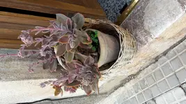 20171114_101445.webp