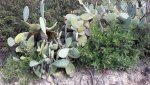 20171114_105452.jpg
