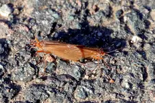 2017-11-14-2981 - Kopie.webp