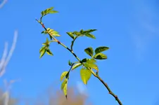 2017-11-14-2945 - Kopie.webp