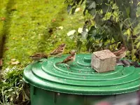 image004.webp