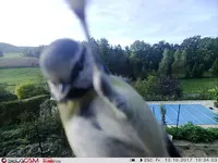 HVEU0227.webp