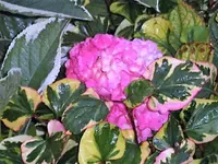 DSCI2793.webp