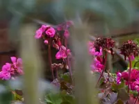 image007.webp