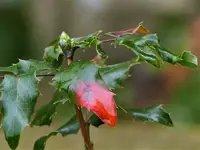 image003.webp