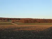 DSC02743.png