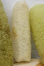 Luffa.webp