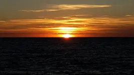 20171115_173142.webp