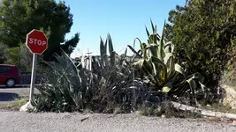 20171115_142211.jpg