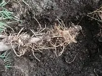 k-P1080924.JPG