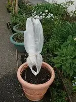 k-P1080940.webp k-P1080940.webp