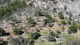 20171116_115517.webp