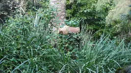 20171116_154702.webp