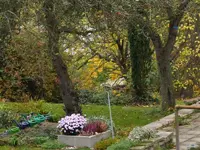 Garten.webp