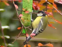 image008.webp