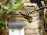 image007.webp
