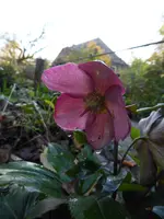 P1080193.webp