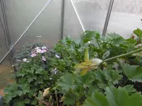 P1020161GWH.webp