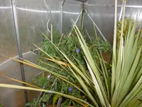 P1020158GWH.webp