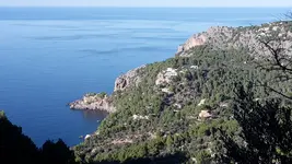20171117_150614.webp