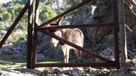 20171117_151621.webp