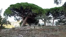 20171117_164925.webp