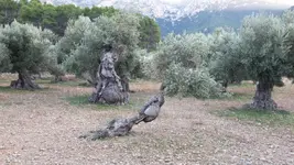 20171117_165427.webp