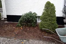 20171118_114247.webp