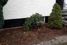 20171118_114253.webp