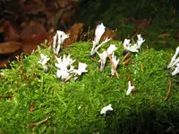 005_1024x768.webp