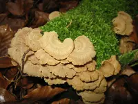 007_1024x768.webp