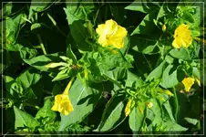 comp_DSC03778.webp