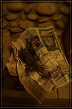 comp_DSC04131.webp