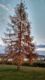 IMG_20171118_155834641_HDR.webp