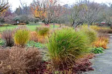 2017-11-18-2989 - Kopie.webp