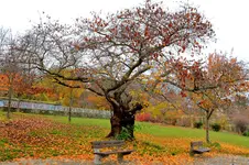 2017-11-18-2990 - Kopie.webp